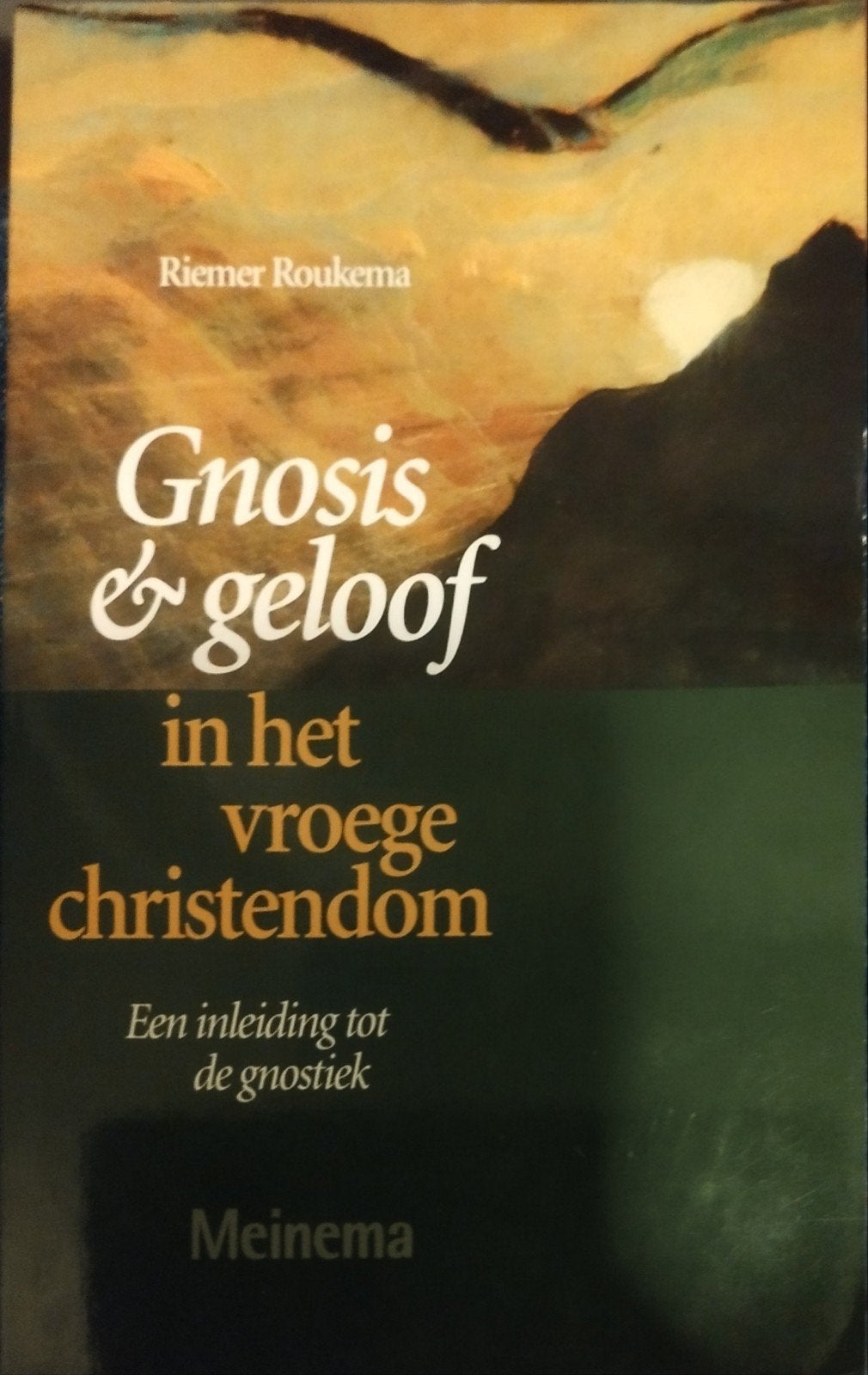 Gnosis & Geloof in het vroege christendom - Riemer Roukema, Ophalen of Verzenden