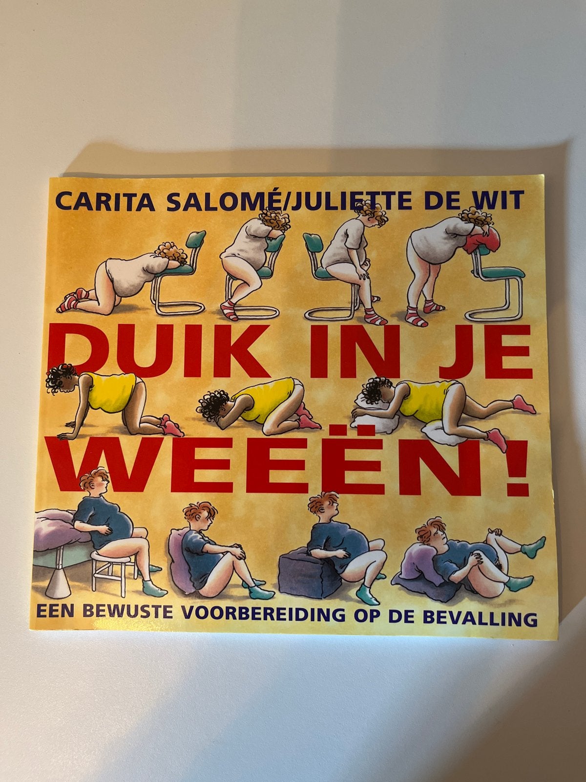Duik in je weeën! Bewuste voorbereiding op de bevalling, Ophalen, Zo goed als nieuw, Zwangerschap en Bevalling