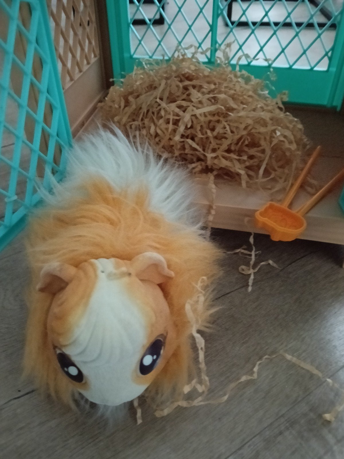Little Live Pets Cavia's met Hok - Moeder en 3 Baby's, Ophalen of Verzenden, Gebruikt, Jongen of Meisje
