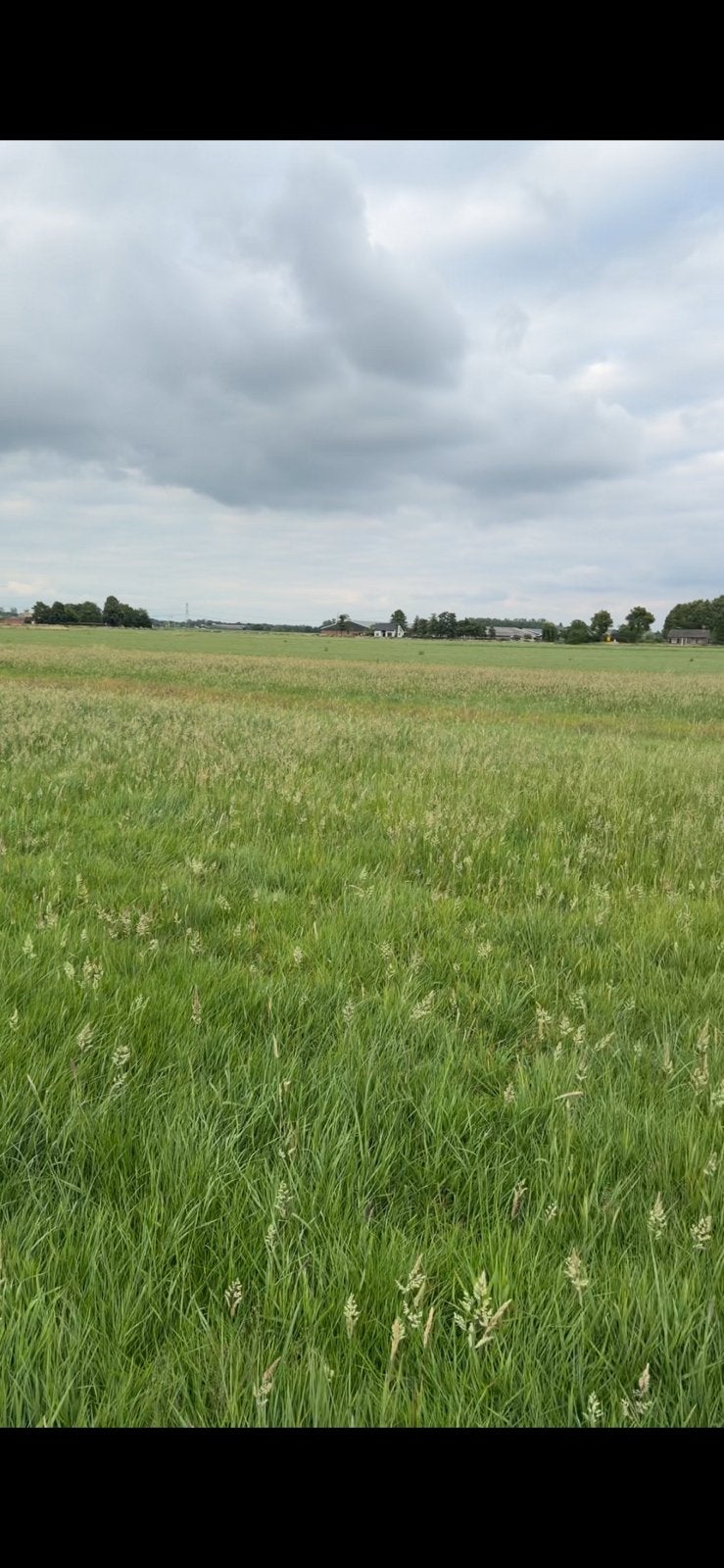 Hooi te koop rechtstreeks vanaf het land, Ophalen of Verzenden