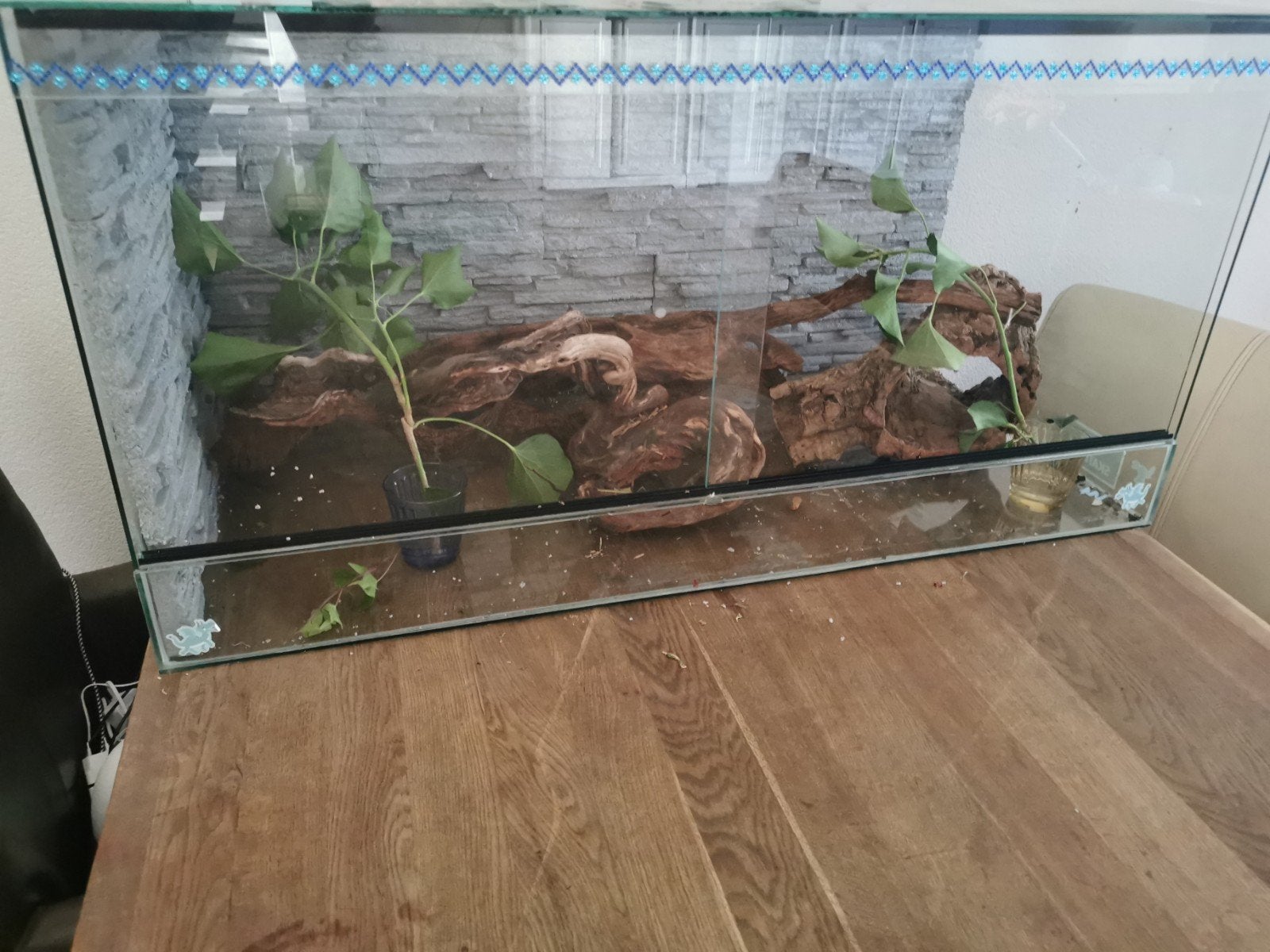 Terrarium, Ophalen