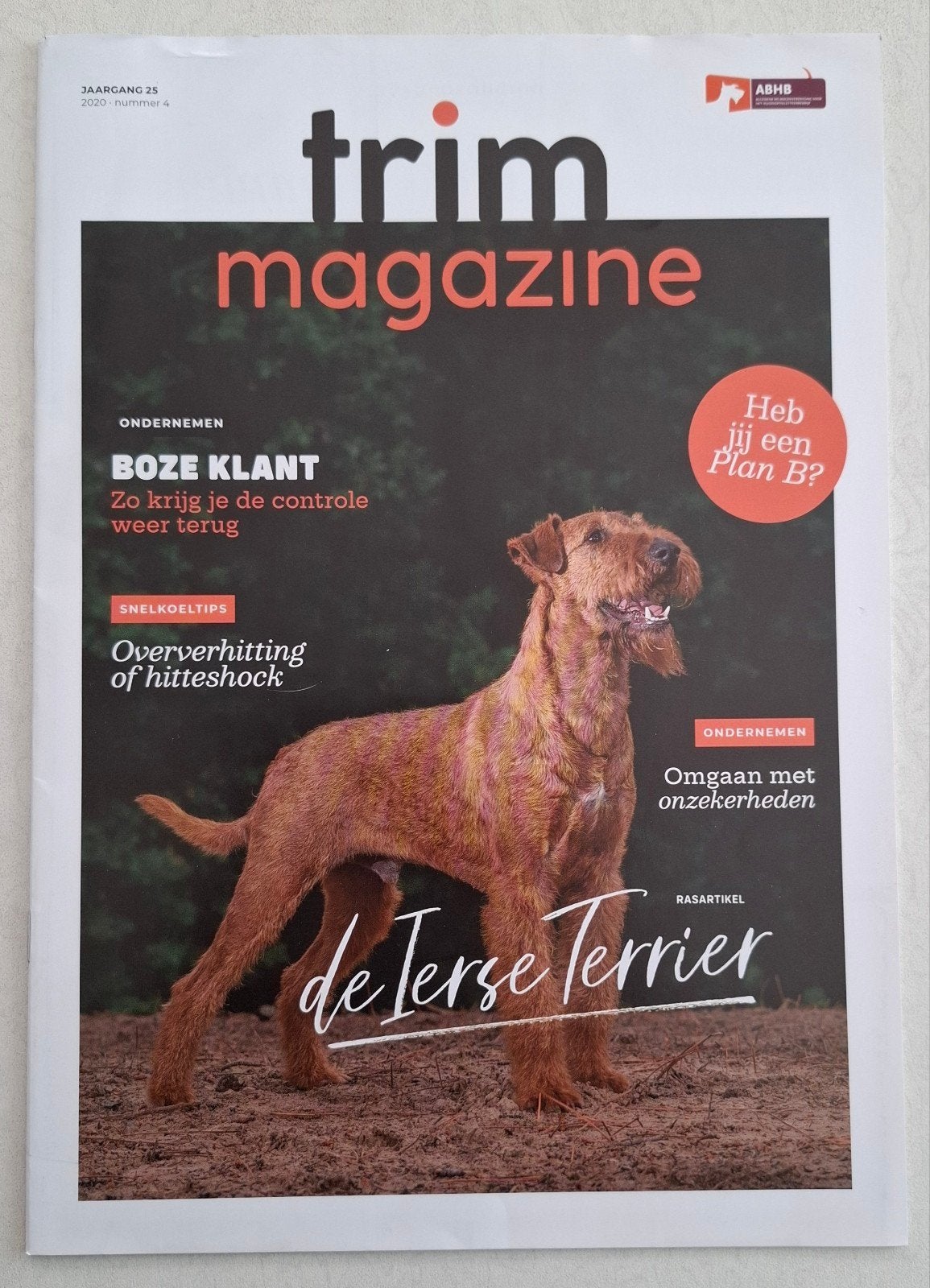 Trimblad Jaargang 25 2020 nr 4 - De Ierse Terrier, Ophalen of Verzenden, Nieuw, Overige typen