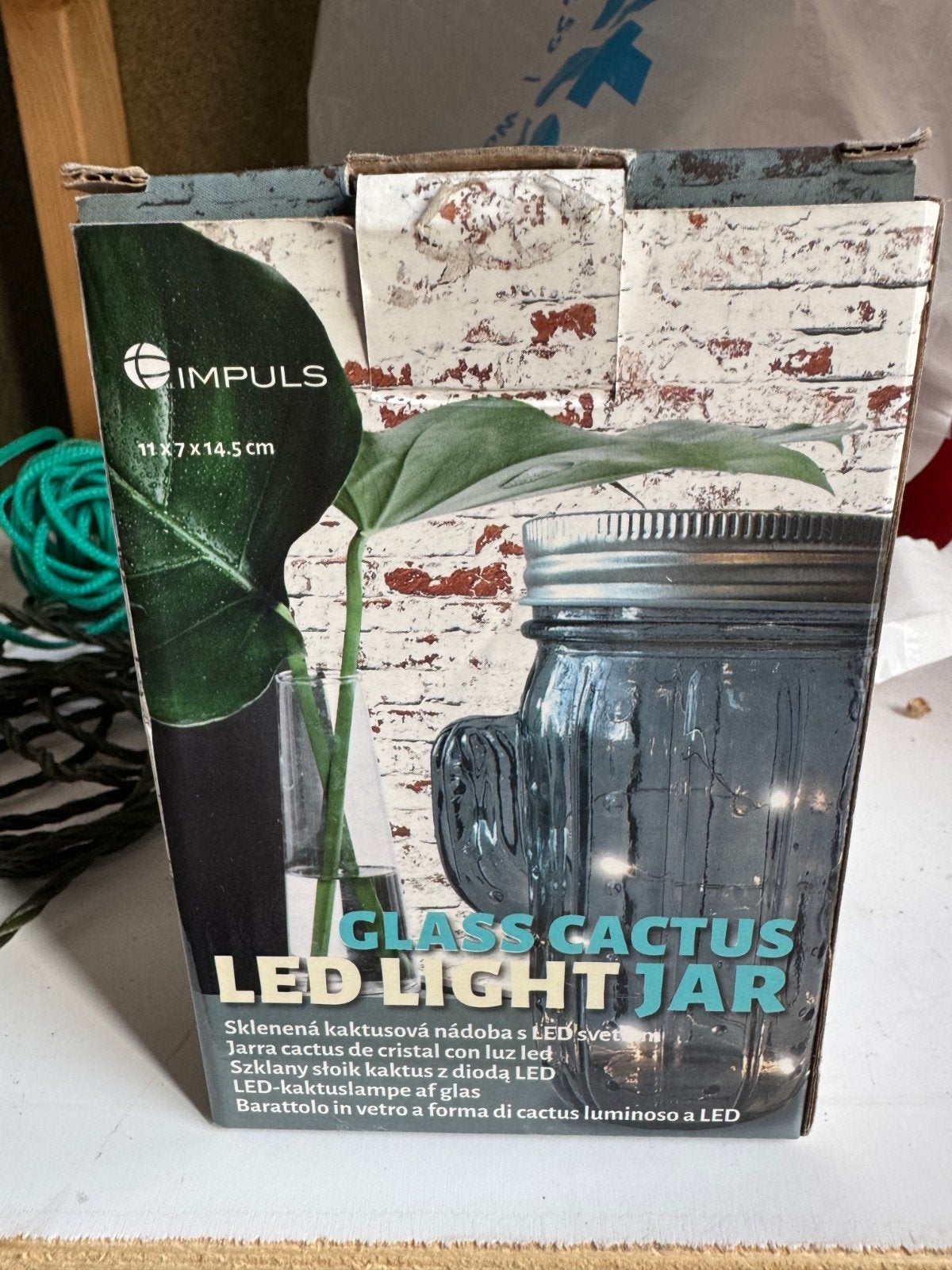 cactus, Meerkleurig, Overige materialen, Overige stijlen, Nieuw