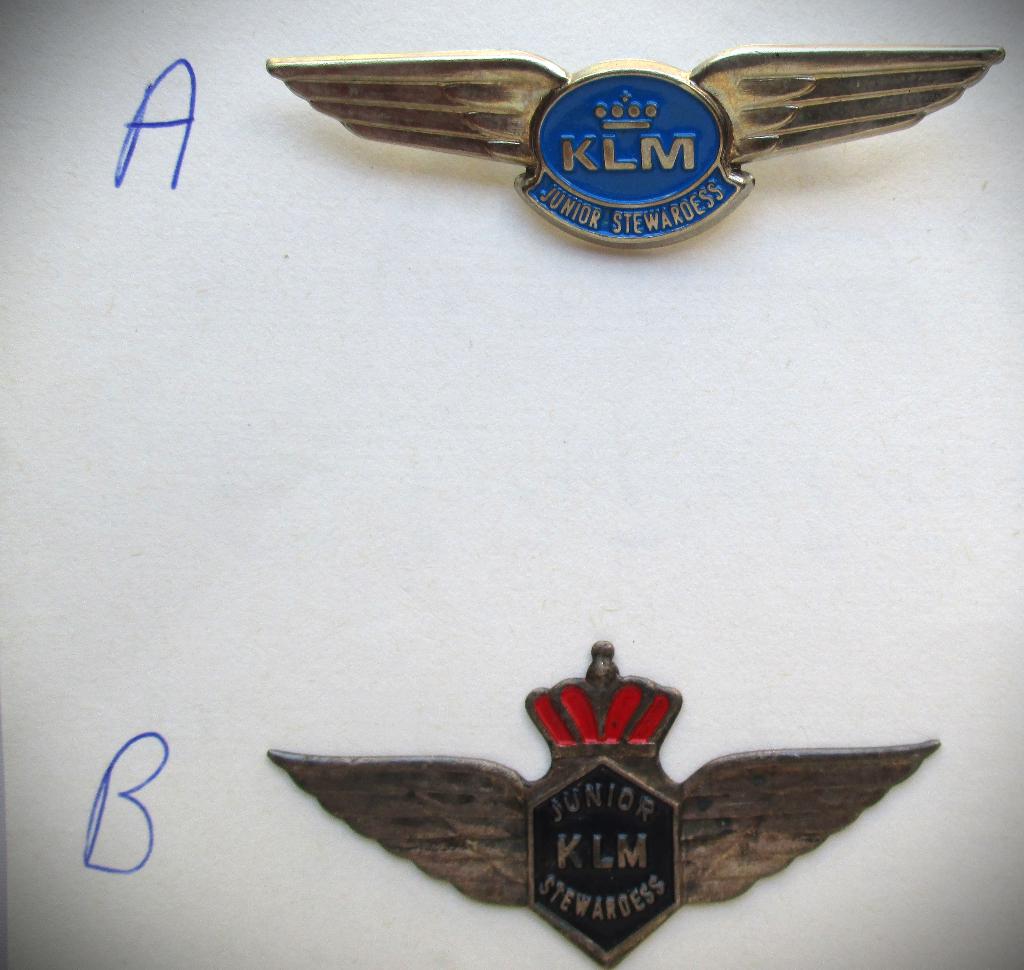 KLM Junior Stewardess~Zilver wings~7 cm~Junior KLM Stewardes, Ophalen of Verzenden, Gebruikt, Overige typen
