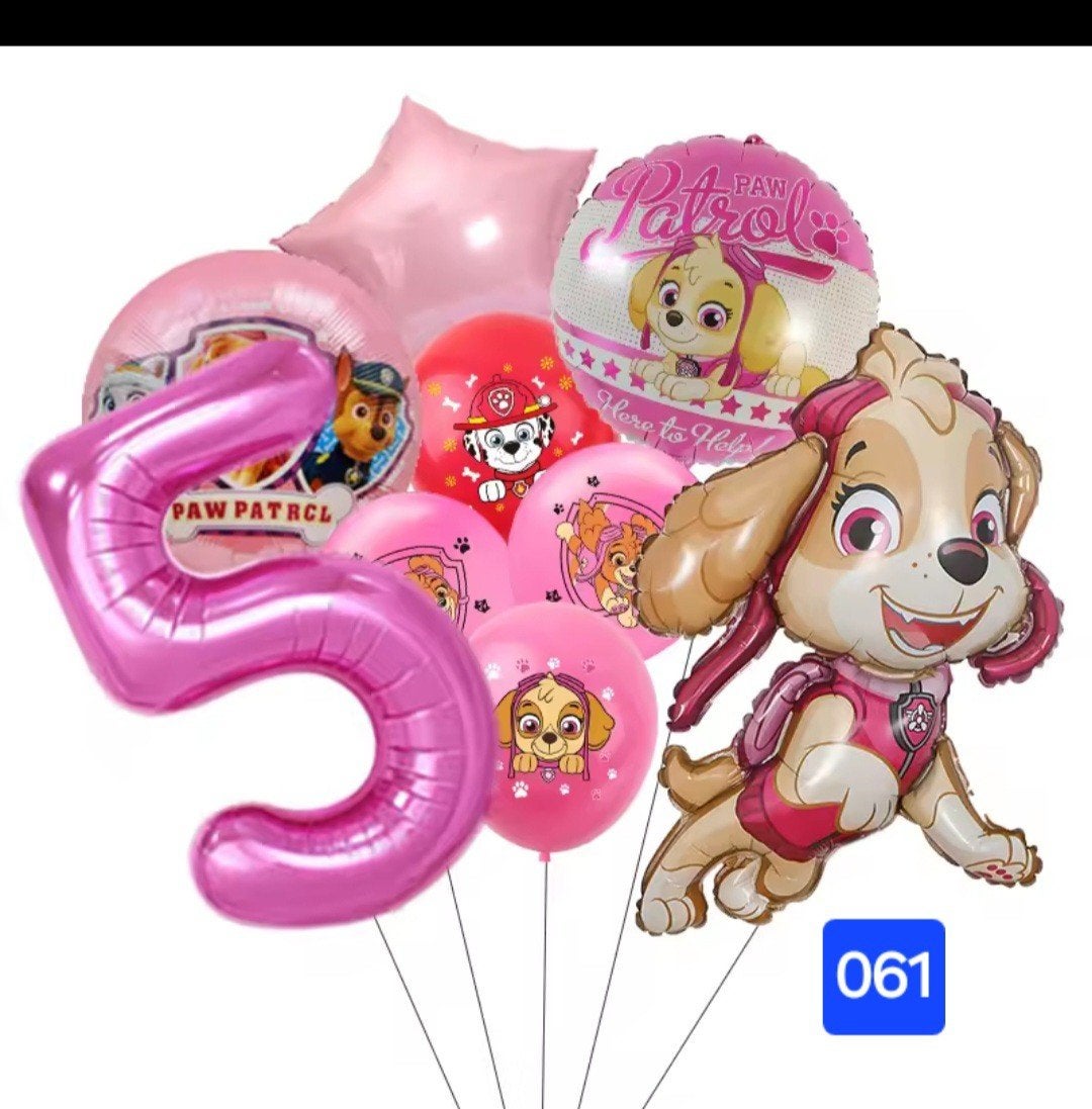Paw Patrol Skye Verjaardag Ballonnen Set - Nieuw, Ophalen, Nieuw, Versiering, Verjaardag