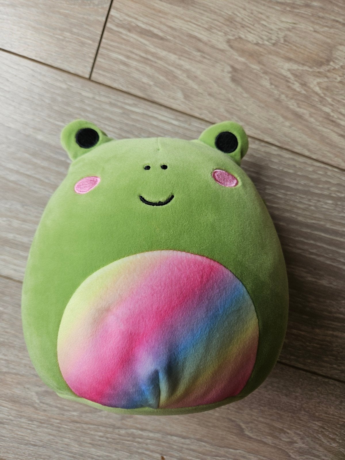 Squishmallow Kikker met regenboogbuik, Kikker, Groen, Overige karakters, Ophalen of Verzenden