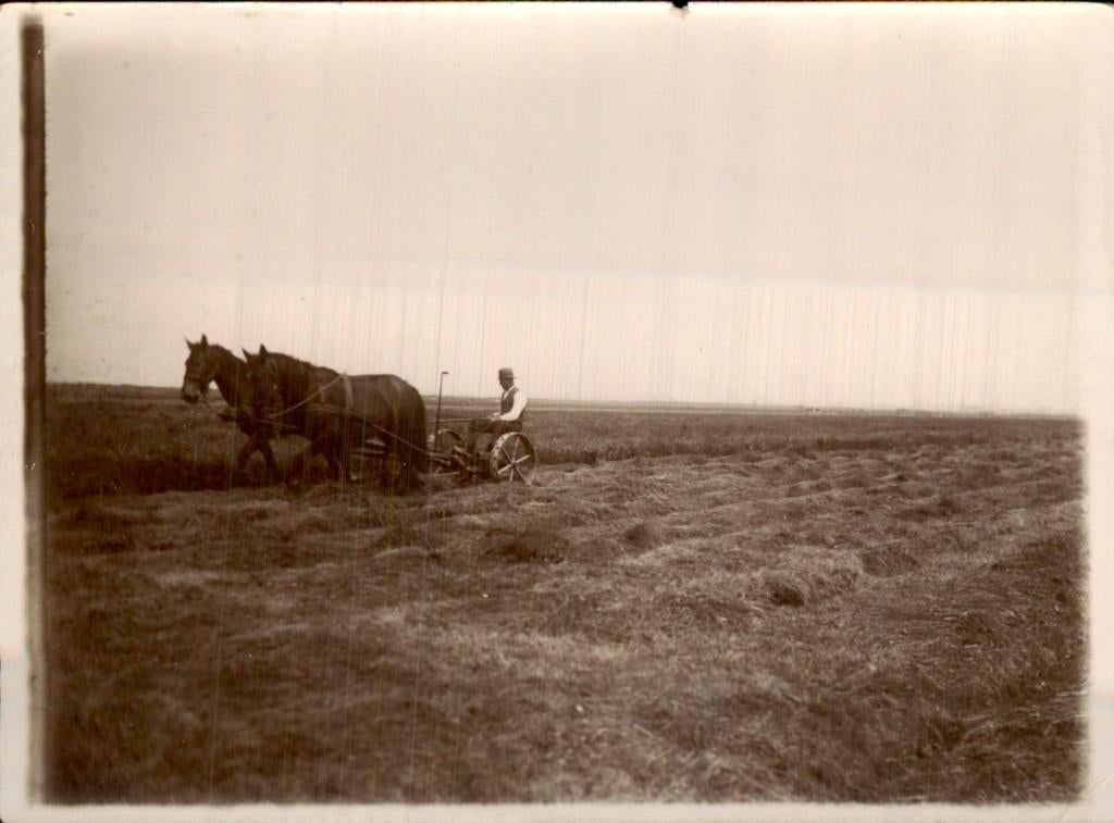 Paarden met maaier - Boer op veld, Ophalen of Verzenden, 1920 tot 1940, Ongelopen, Drenthe