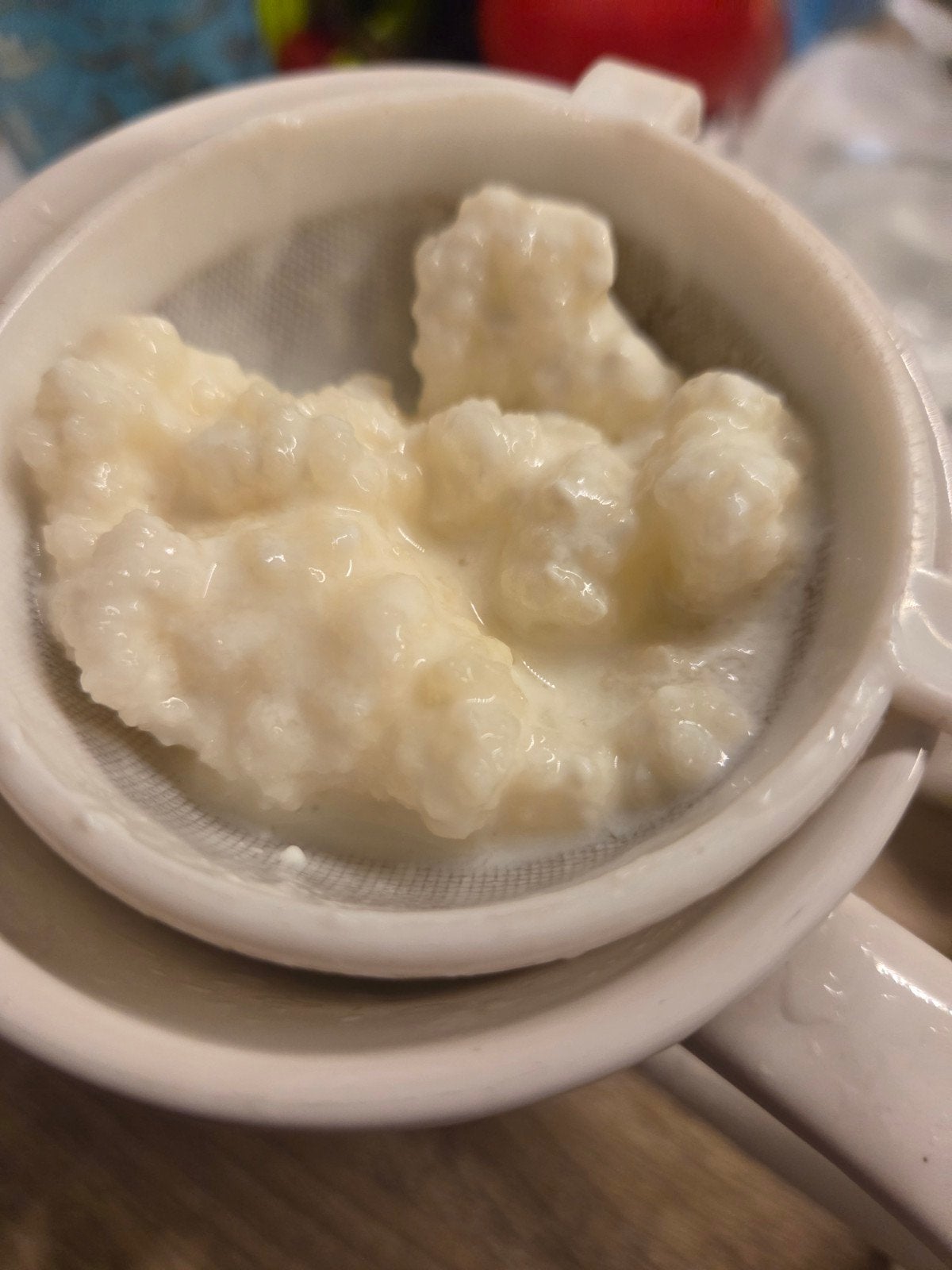 levende melk kefir korrels, 10 gram, Ophalen of Verzenden
