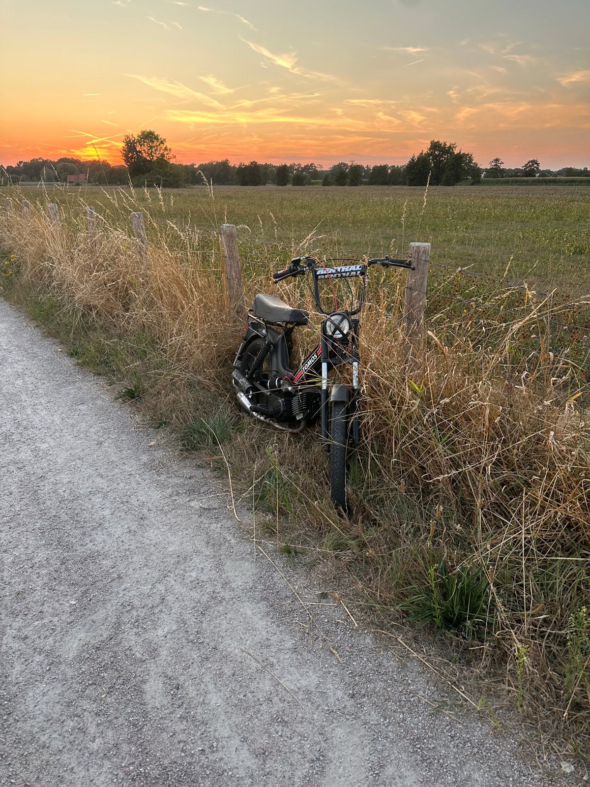 Tomos 65cc met kentenken, Ophalen, Zo goed als nieuw, Standard
