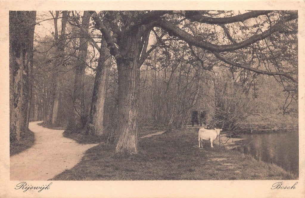 946 Rijswijk - Bosch, Verzenden, 1920 tot 1940, Ongelopen, Zuid-Holland