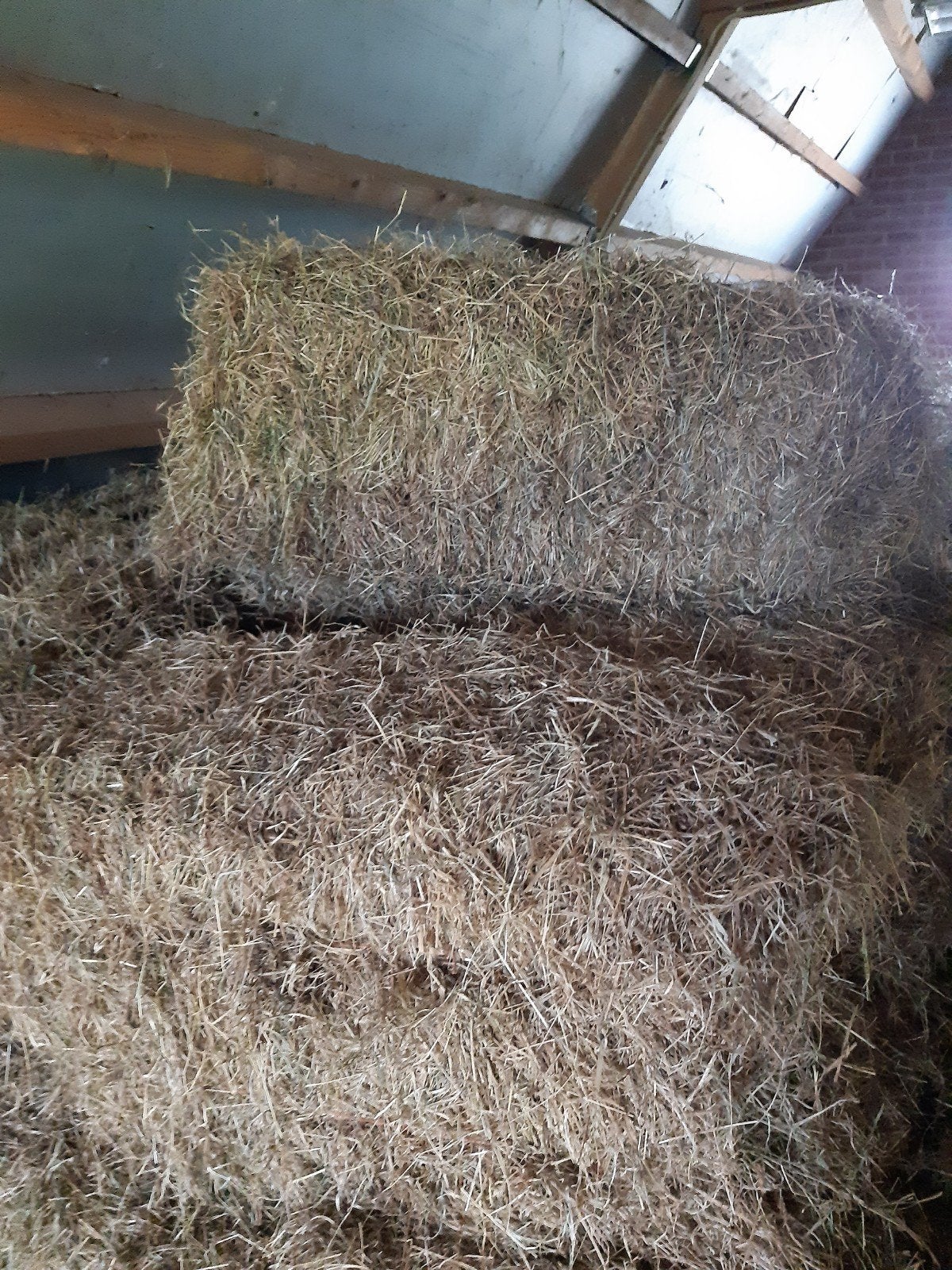 Hooi balen te koop, Dieren en Toebehoren, Ophalen