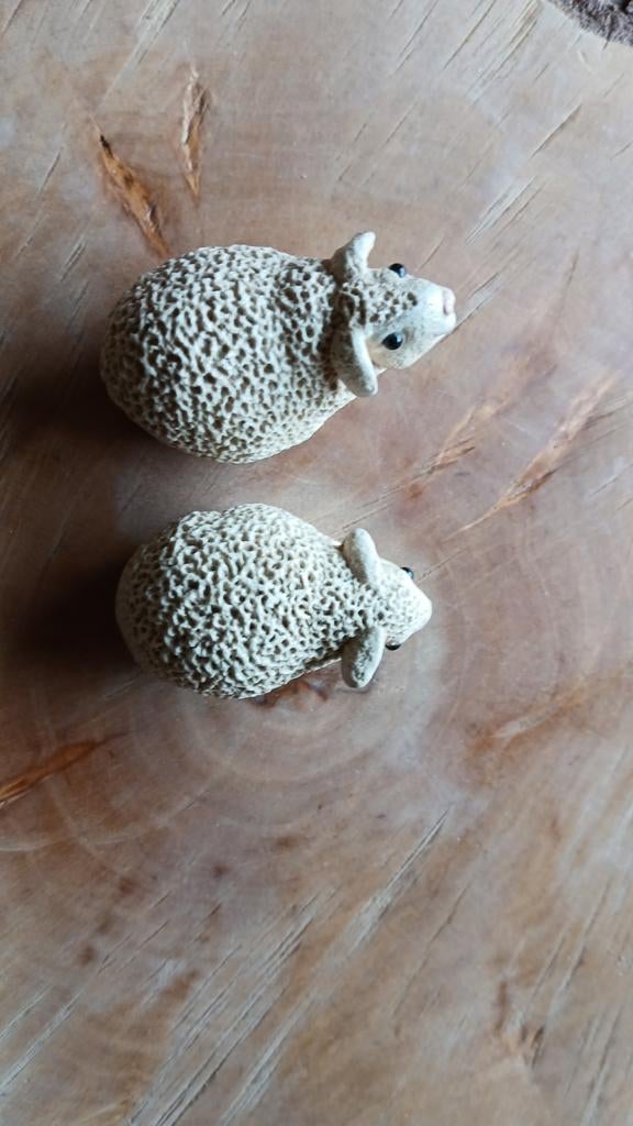 2 schaapjes van Pete Absit, Ophalen of Verzenden