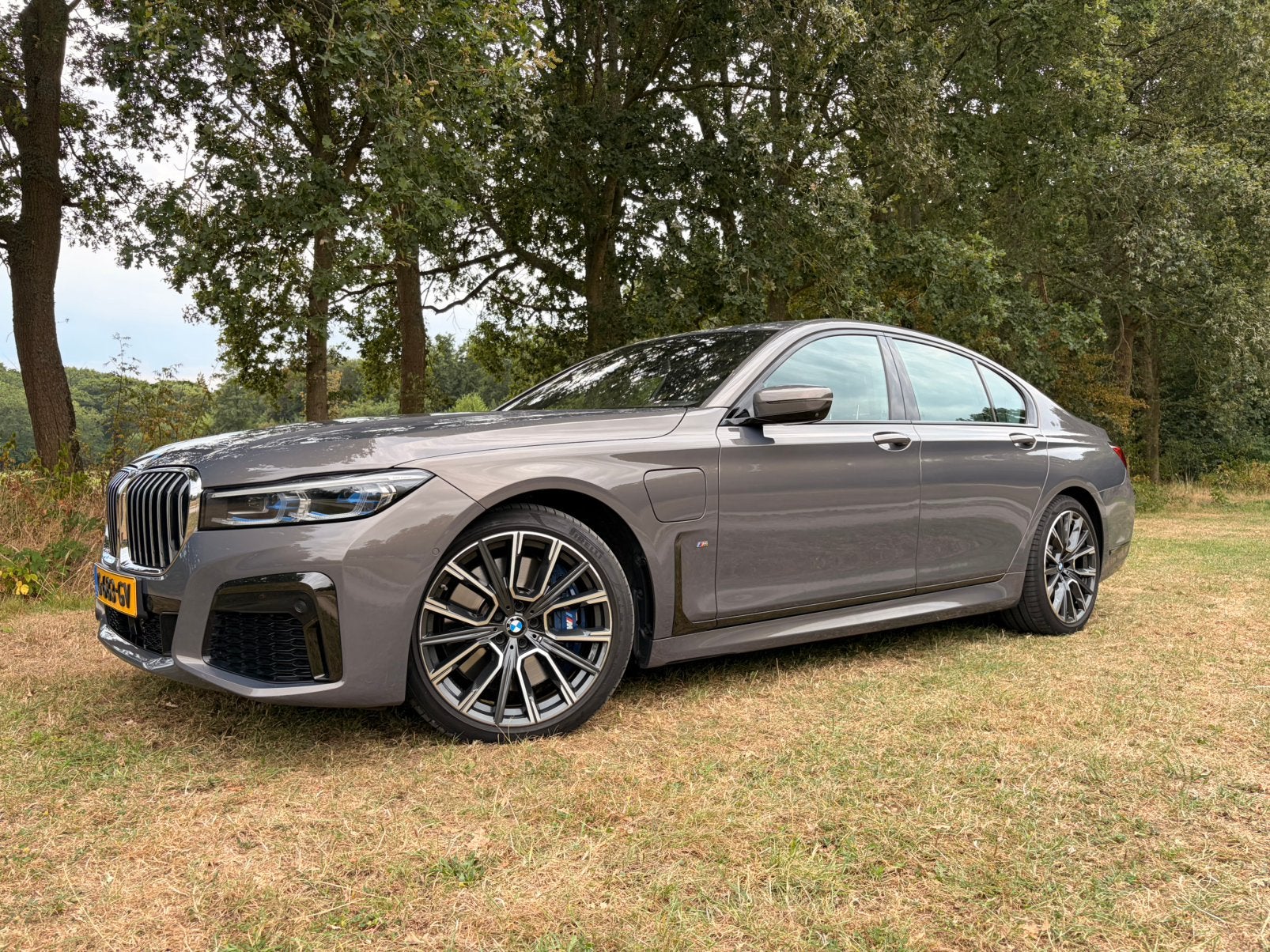 BMW 745e M-Sport Champagner Quarz | NL | 75.1KM | Service'28, Auto's, BMW, Automaat, Achterwielaandrijving, Zwart, Overige kleuren
