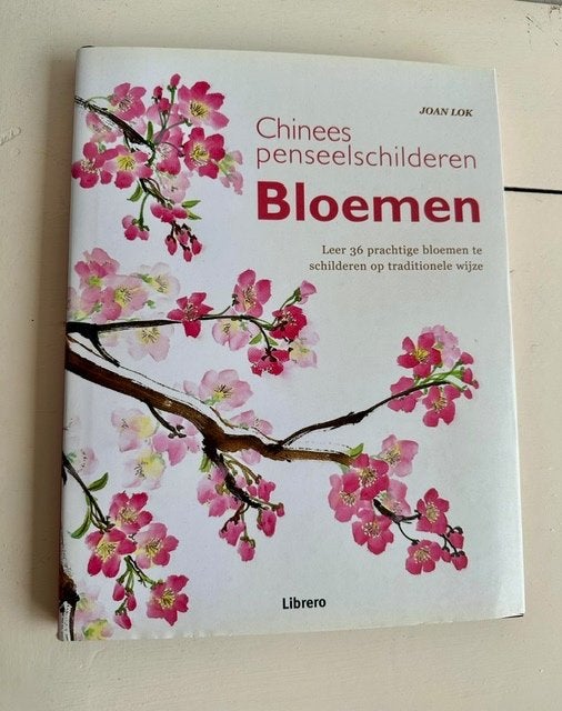 Boek Chinees penseel schilderen Bloemen, Ophalen of Verzenden, Zo goed als nieuw, Tekenen en Schilderen