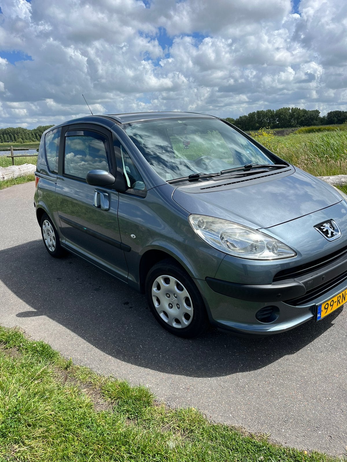 Peugeot 1007 1.4 2005 Grijs, Auto's, Peugeot, Voorwielaandrijving, 1360 cc, 4 cilinders, 4 stoelen