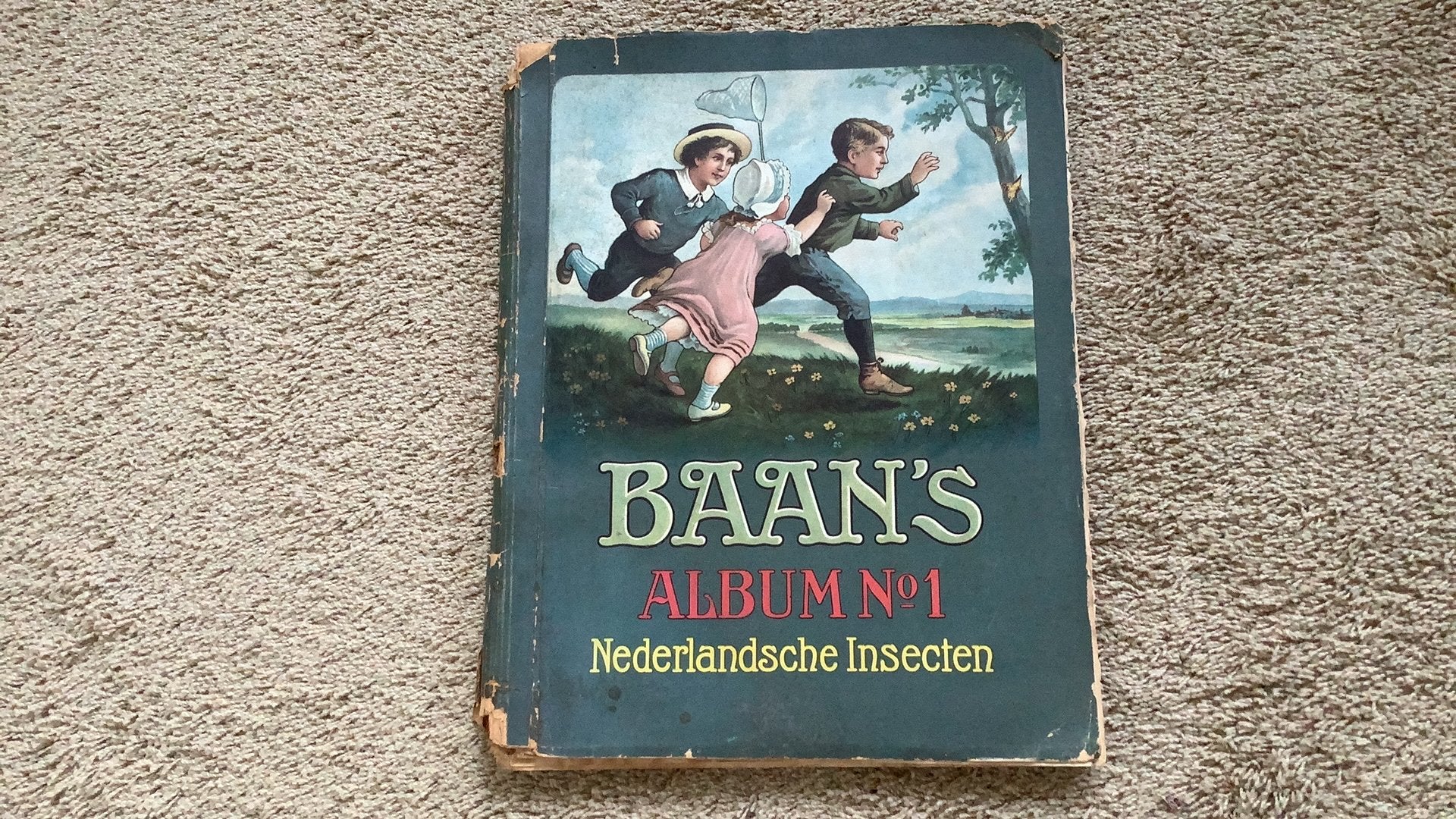 Baan’s album no.1, Nederlandsche Insecten. Uitgave 1915., Boeken, Ophalen of Verzenden, Gelezen, Plaatjesalbum