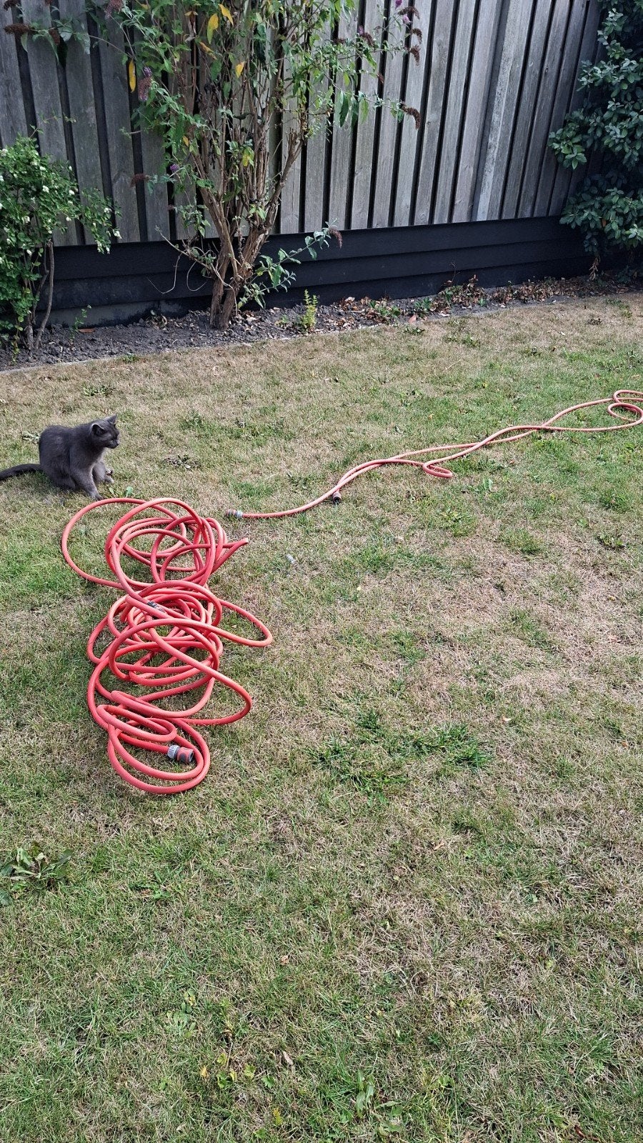 Gardena tuinslang met koppelingen, Tuin en Terras, Tuinslangen, Ophalen, Gebruikt, Tuinslang