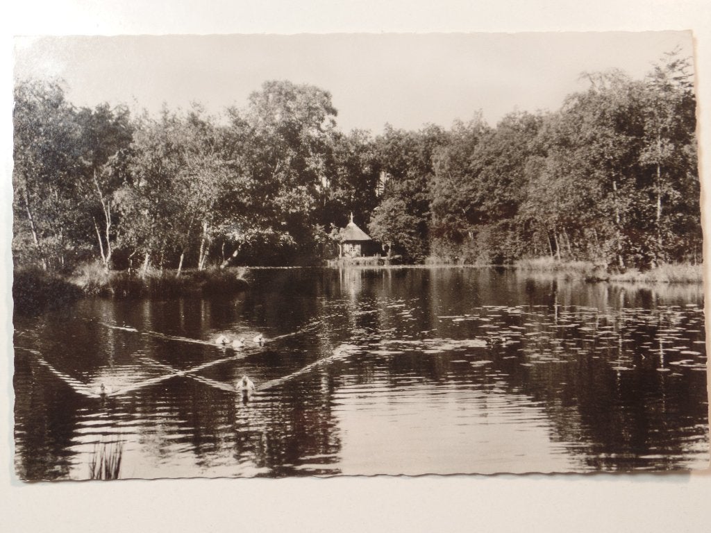 Bakkeveen, Ophalen of Verzenden, 1940 tot 1960, Gelopen, Friesland