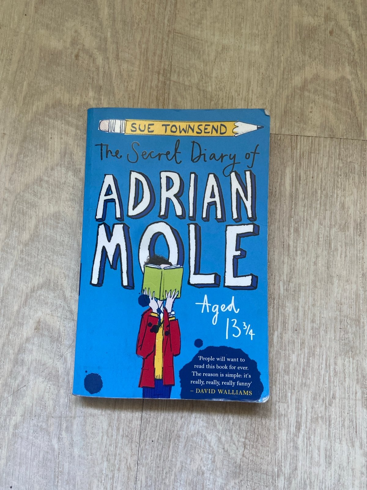 The Secret Diary of Adrian Mole Aged 13 3/4 - Sue Townsend, Ophalen of Verzenden, Gelezen, Fictie