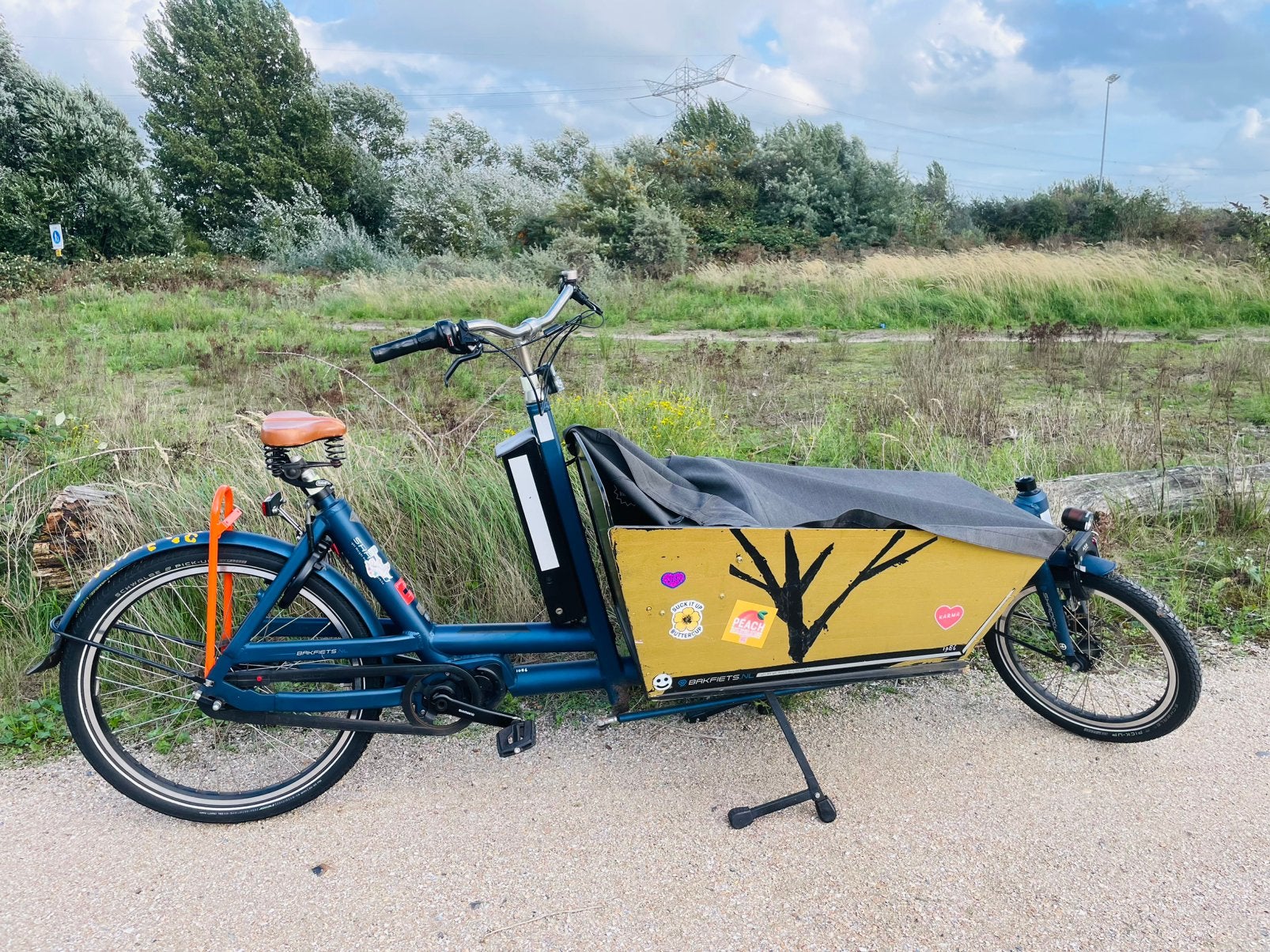 Elektrische Bakfiets nl (2022, CargoBike Shadow Steps SS7), Overige merken, Gebruikt, 3 kinderen, Elektrisch