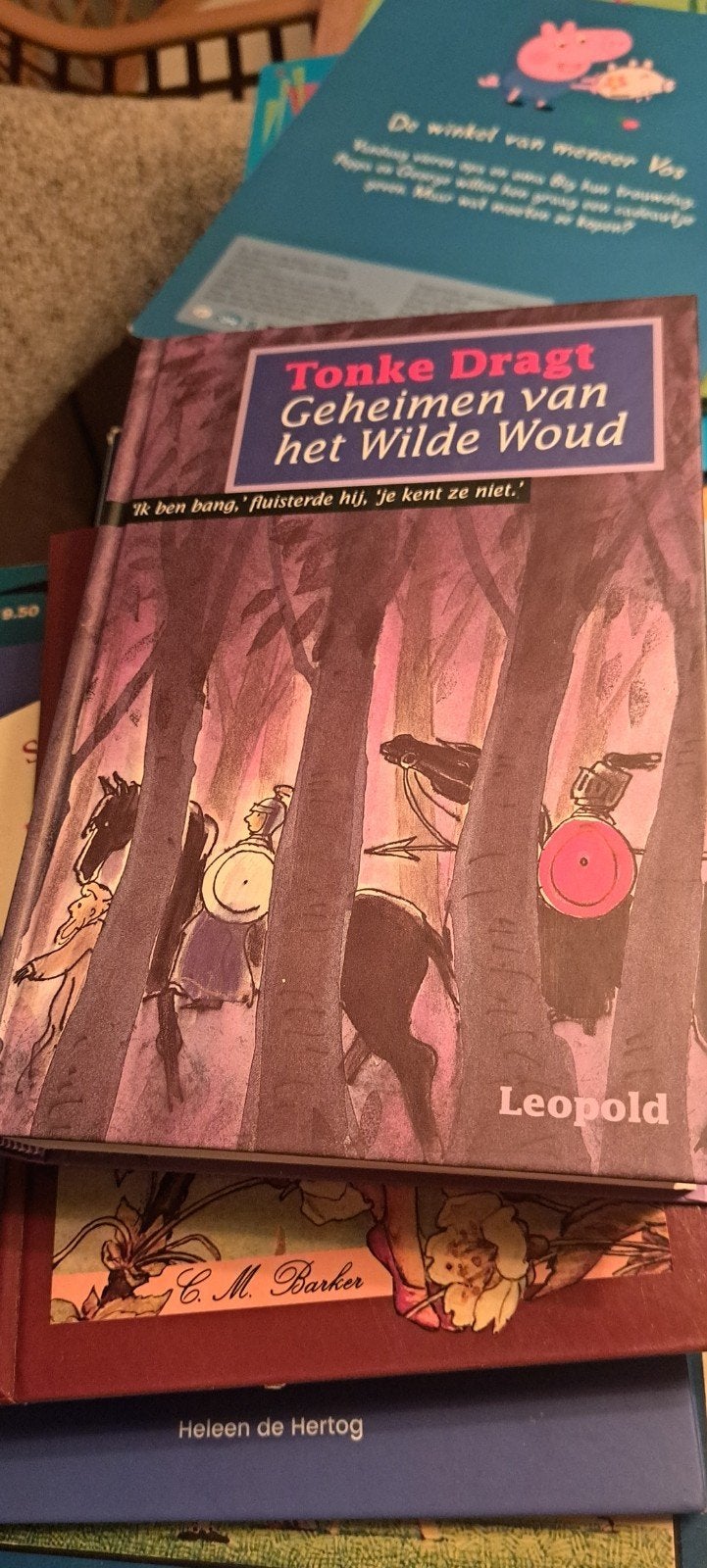 Tonke Dragt - Geheimen van het Wilde Woud, Ophalen of Verzenden, Zo goed als nieuw, Fictie algemeen, Tonke Dragt