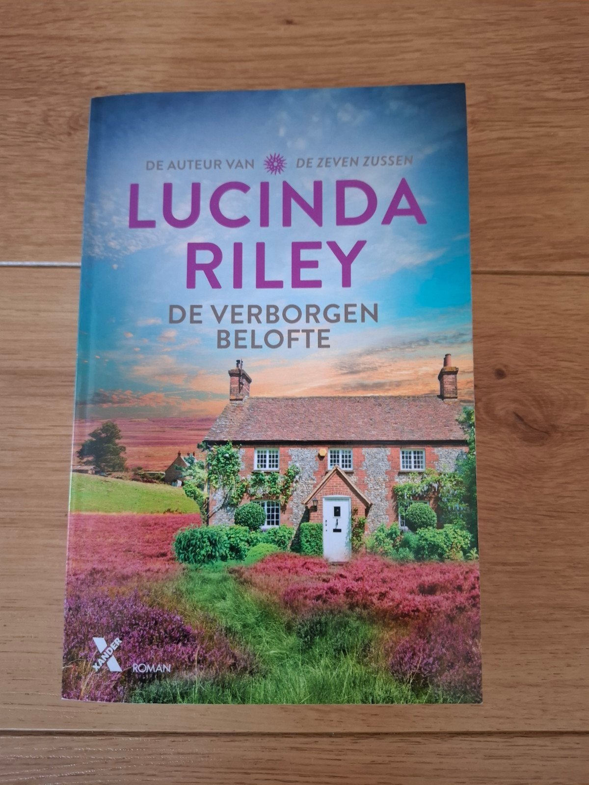 Lucinda Riley - De Verborgen Belofte (Zo goed als nieuw), Ophalen of Verzenden, Zo goed als nieuw, Lucinda Riley, Nederland