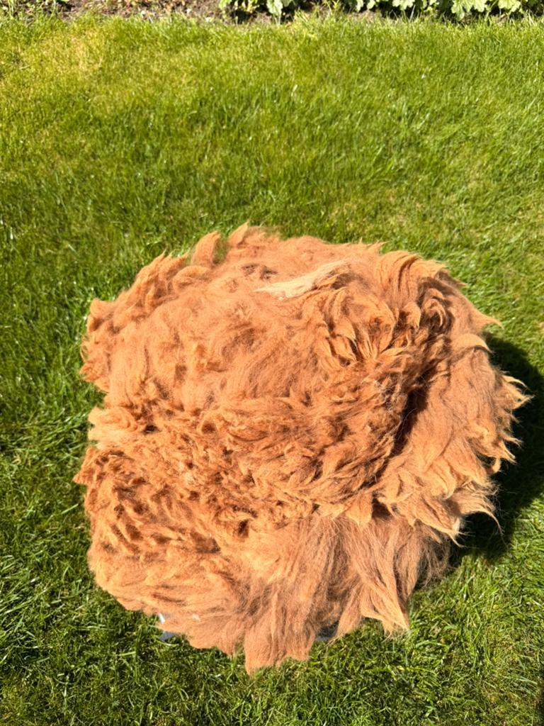 Mooie alpaca zadel vachten, Hobby en Vrije tijd, Breien en Haken, Ophalen of Verzenden, Nieuw, Breien of Haken, Wol of Garen