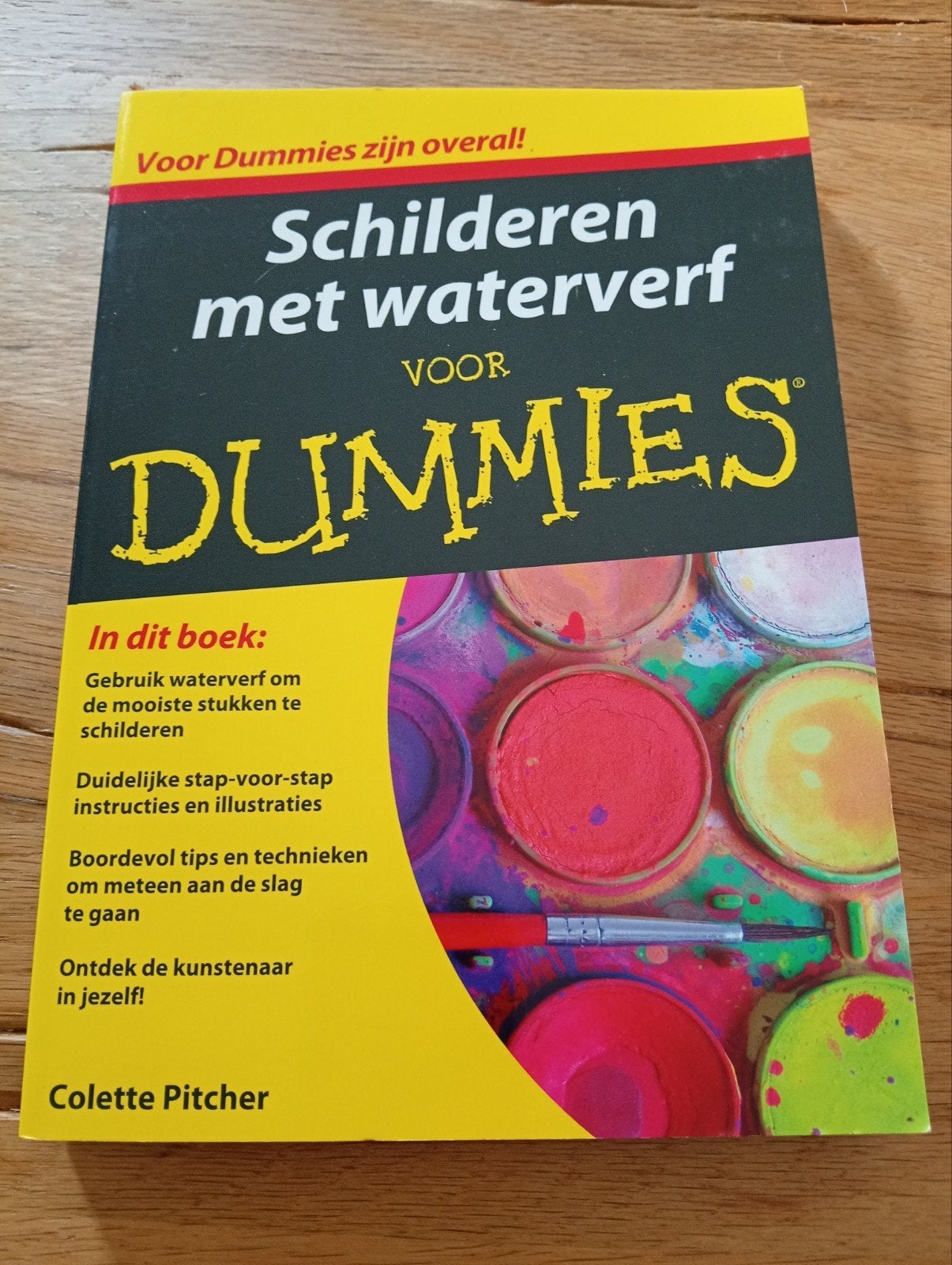 Schilderen met waterverf voor Dummies - Colette Pitcher, Ophalen of Verzenden, Zo goed als nieuw, Tekenen en Schilderen, Colette Pitcher