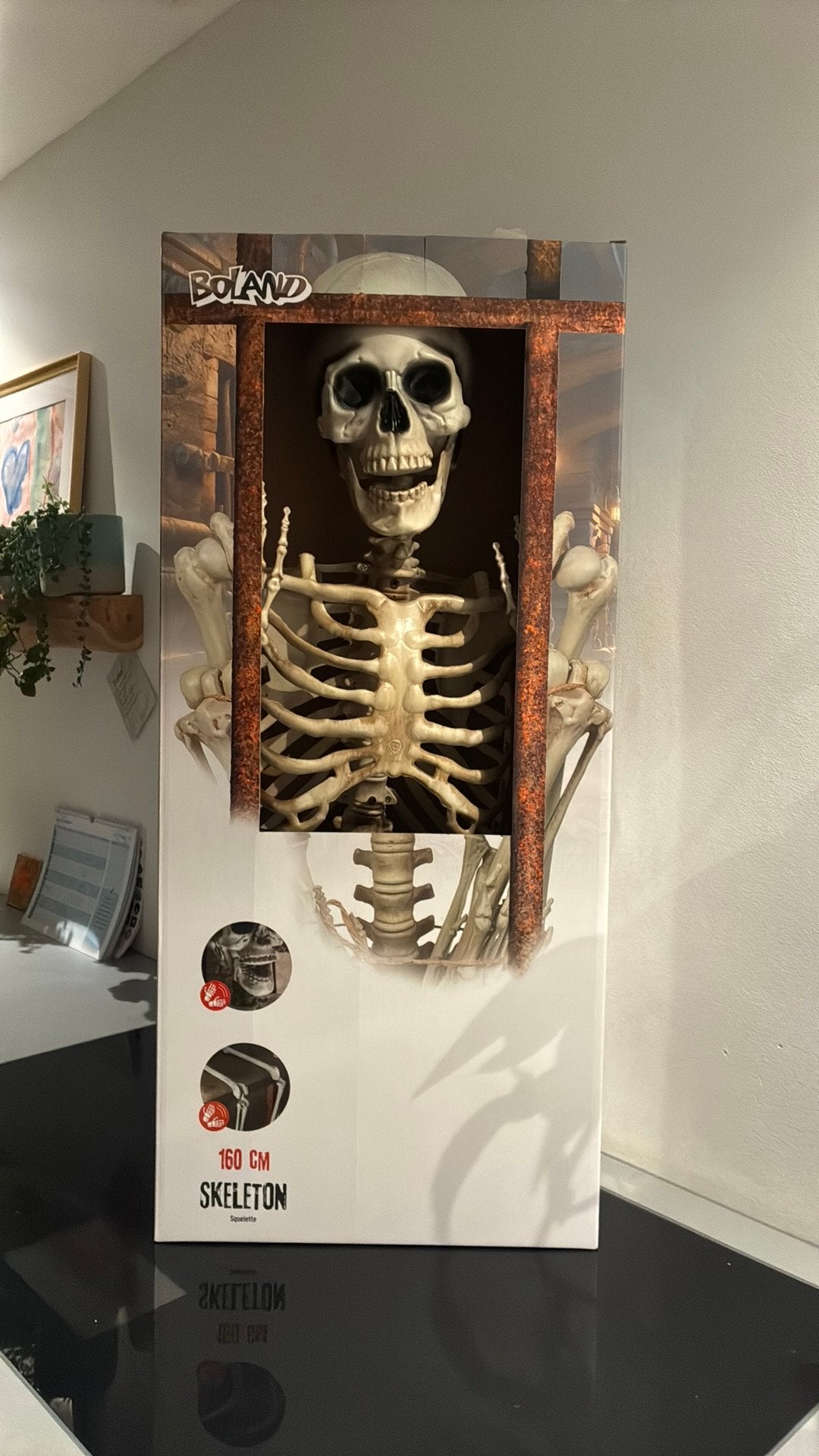 Skelet 160cm, Ophalen, Nieuw