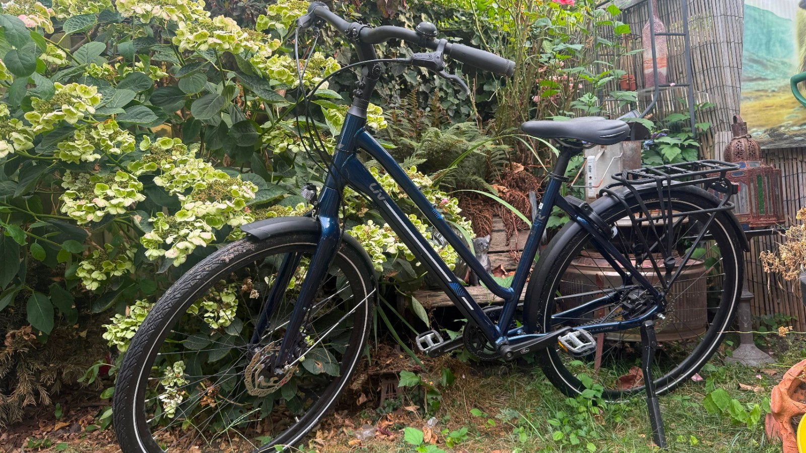 Liv allure blauw damesfiets, Ophalen, Gebruikt, Liv (giant), Handrem