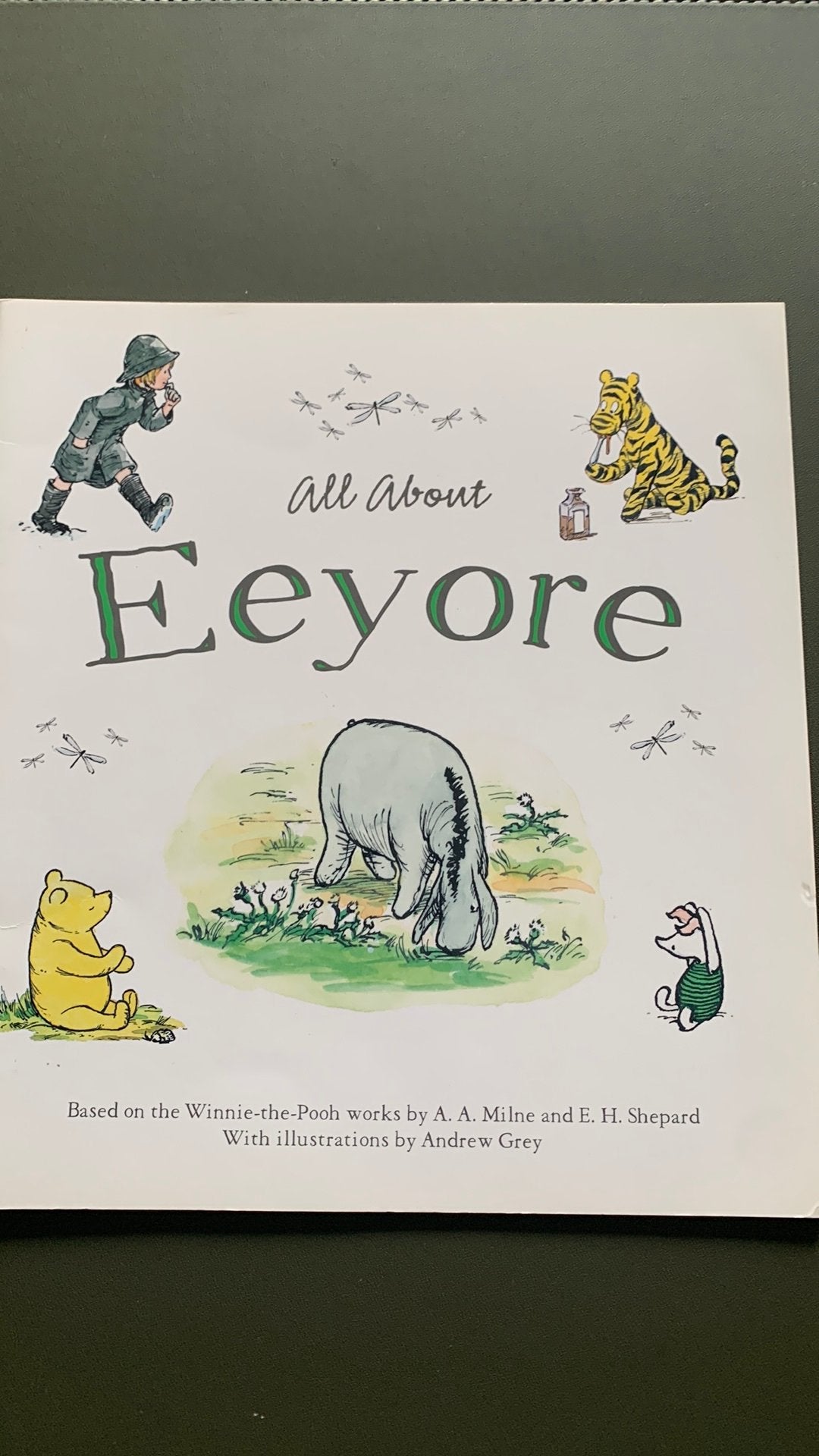 A.A. Milne: All about Eeyore (engels), Jongen of Meisje, Ophalen of Verzenden, Zo goed als nieuw, Voorleesboek