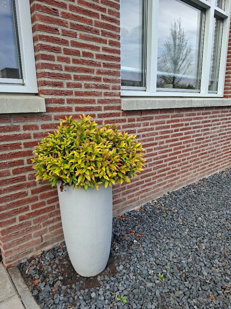 Plantenpot buiten rond inclusief winterharde beplanting, Tuin en Terras, Ophalen, Steen, Rond, Zo goed als nieuw