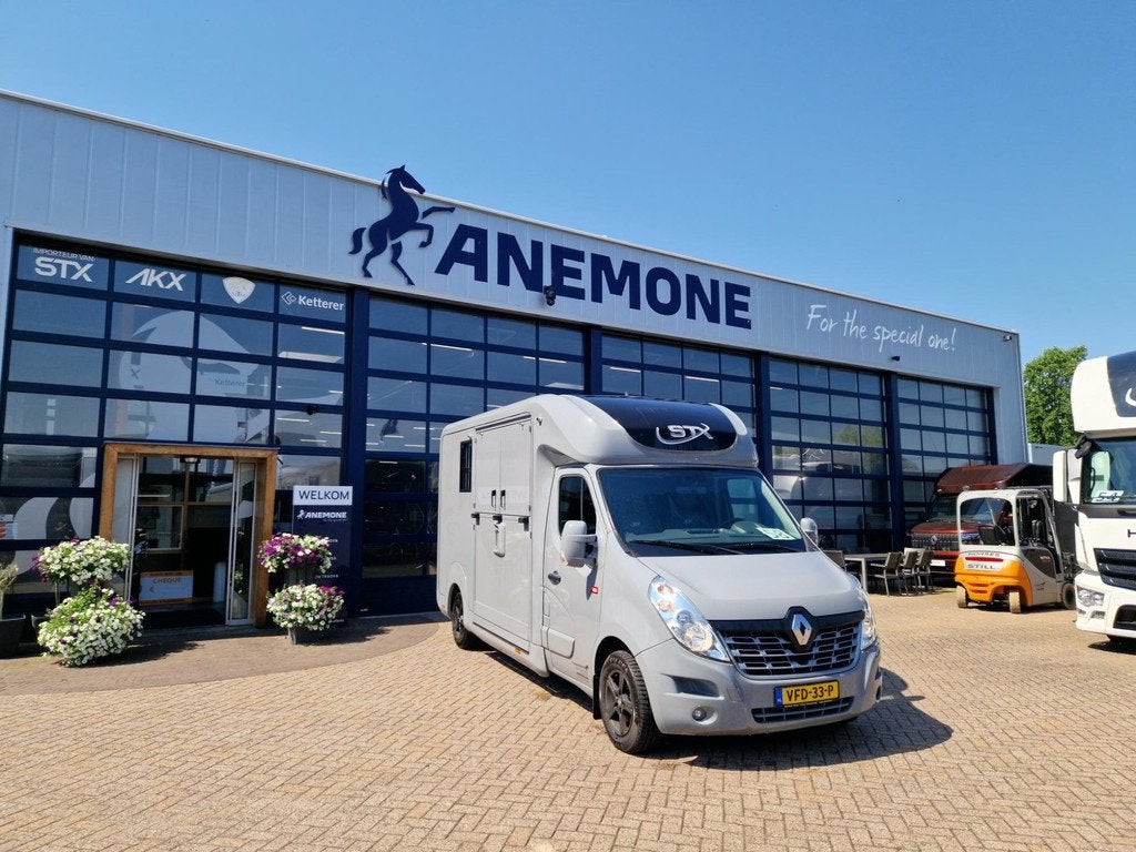Renault Master STX S3 paardenwagen automaat hengsten uitvoer, Gebruikt, Overige typen
