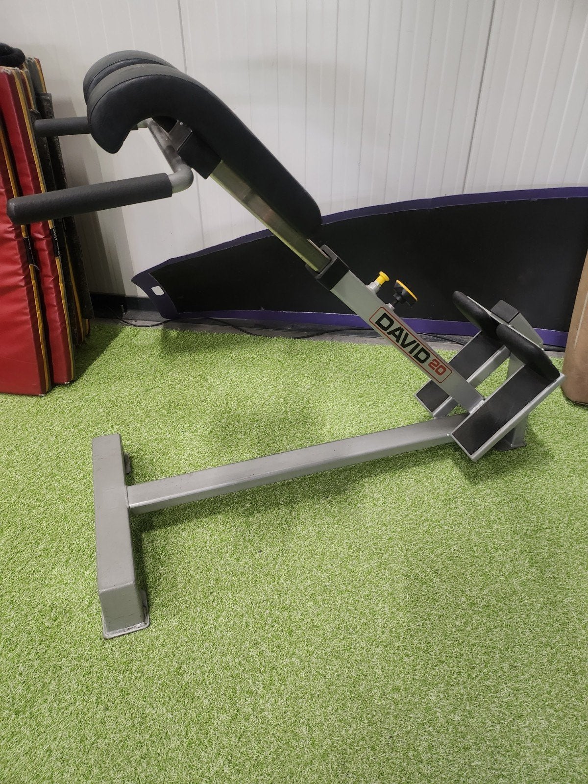 David 20 Rugtrainer / Hyperextensie Bank, Sport en Fitness, Fitnessapparatuur, Krachtstation, Ophalen of Verzenden