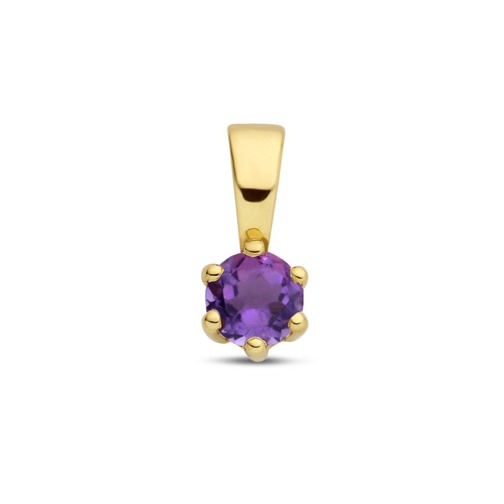 Gouden geboortesteen hangertje FEBRUARI met Amethist - 14KRT, Paars, Nieuw, Ophalen of Verzenden, Goud