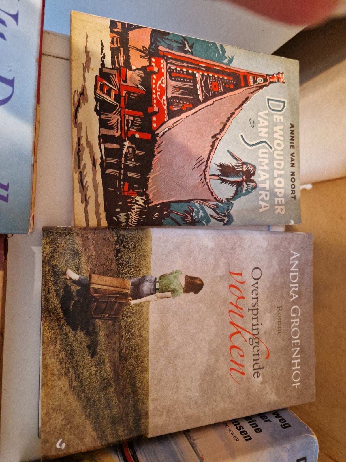 Diverse boeken: romans, jeugdboeken en meer, Boeken, Ophalen of Verzenden, Gelezen, Diverse auteurs, Nederland
