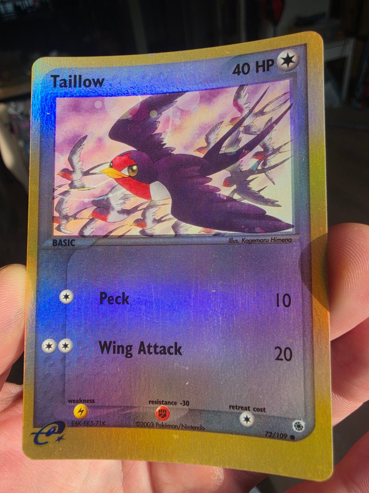 Taillow (RS 72)
EX Ruby & Sapphire, Ophalen of Verzenden, Zo goed als nieuw