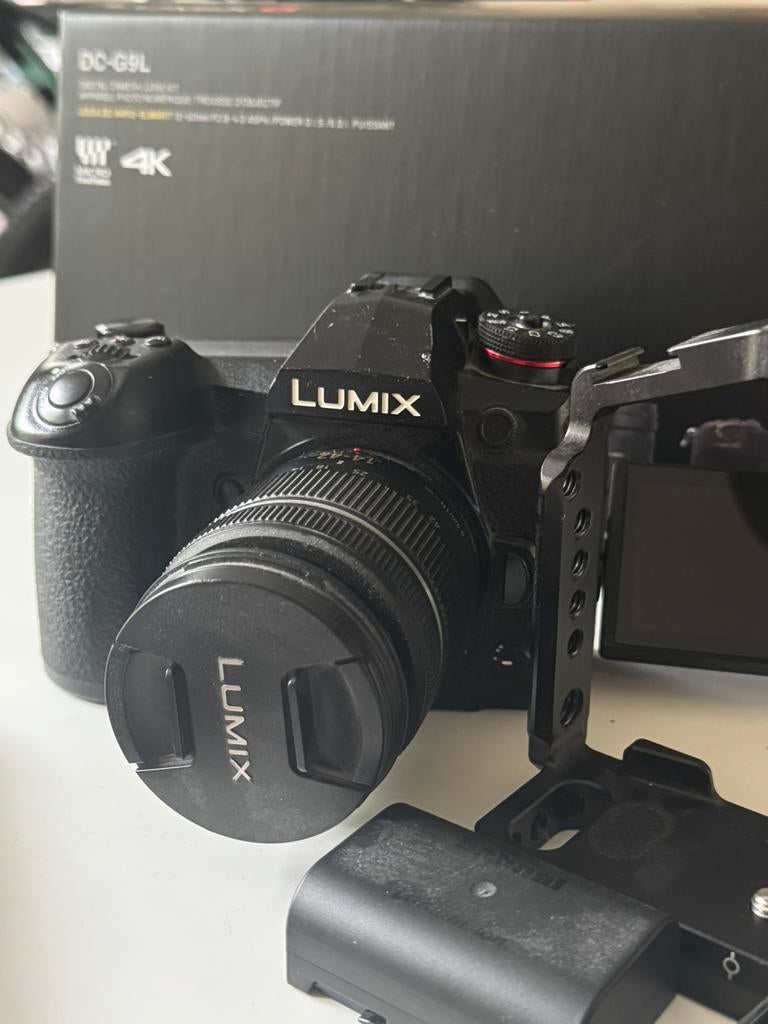 Lumix DC 9 4K MFT + 14 - 24 MM lens & smallrig, Audio, Tv en Foto, Fotocamera's Digitaal, Ophalen, Zo goed als nieuw, Overige Merken