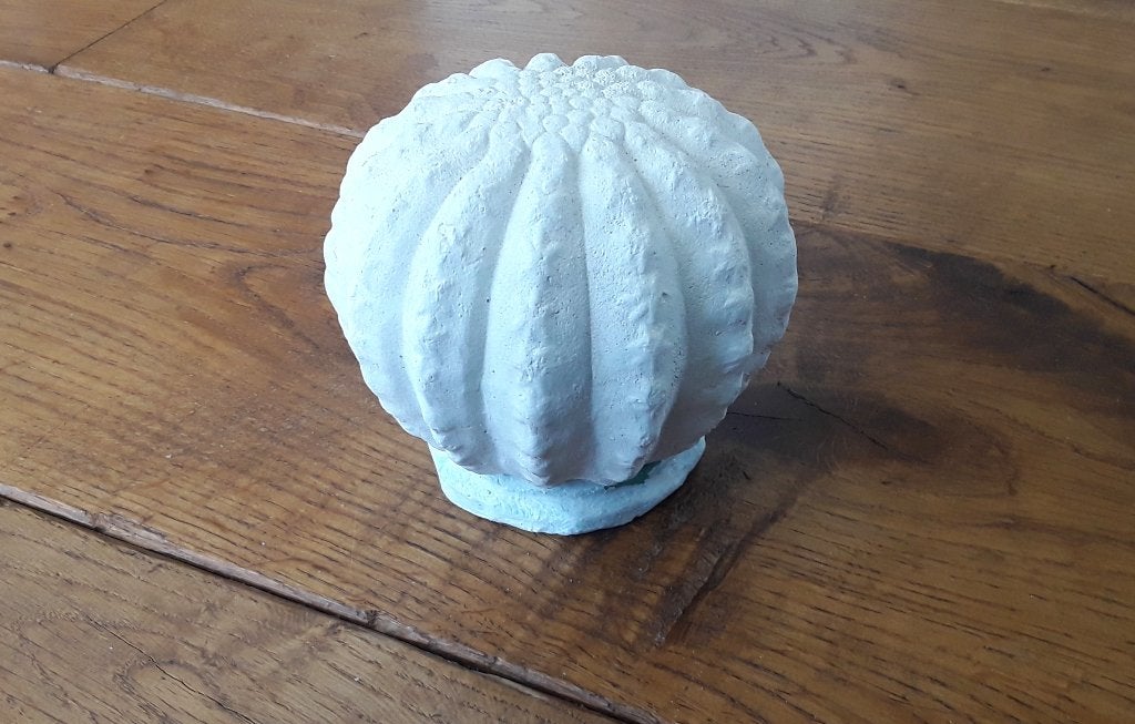 Decoratieve bol-bloem-cactus voor binnen of buiten - beton, Ophalen of Verzenden, Gebruikt, Beton, Overige typen
