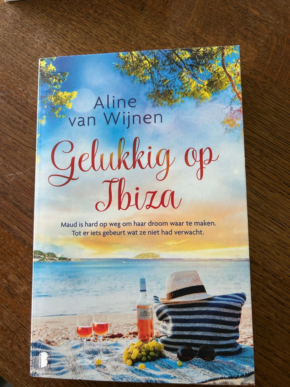 Boekenpakket: 5 romans van diverse auteurs, Ophalen of Verzenden, Gelezen, Europa overig