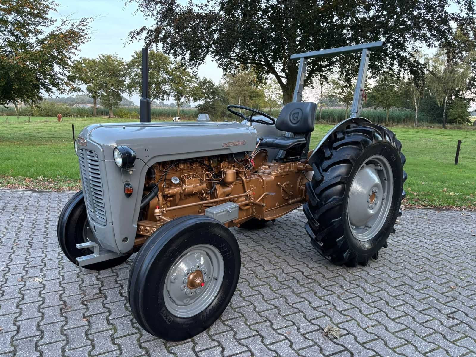 1958 Massey Ferguson 35 Goudbuik, Oldtimer, Massey Ferguson