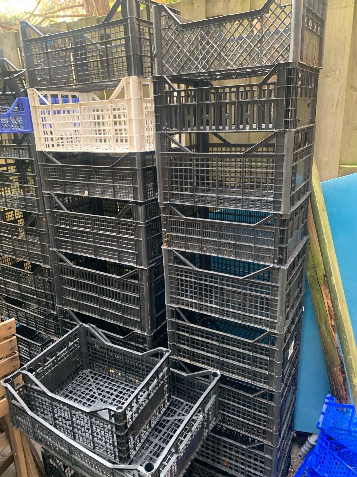 Diverse gebruikte kratten en bakken, Gebruikt, 40 tot 60 cm, 50 tot 75 cm, Bak of Kist