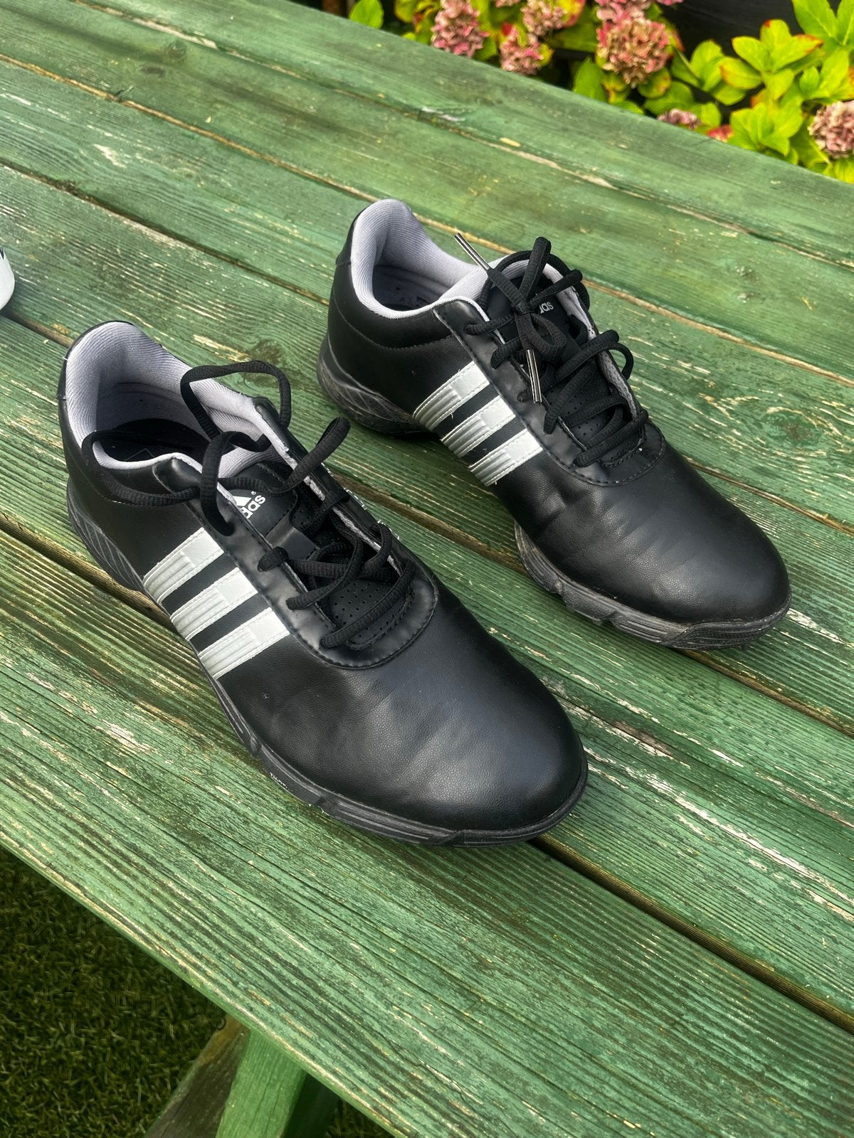 Adidas golfschoenen mt 44 - Zo goed als nieuw, Sport en Fitness, Ophalen of Verzenden, Zo goed als nieuw, Schoenen, Overige merken