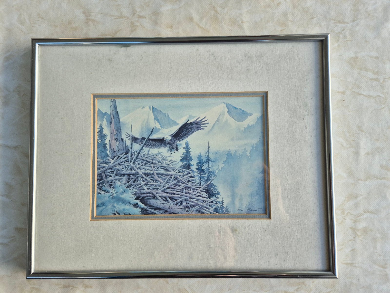 Sue Coleman Adelaar in Nest - Ingelijste Print, Ophalen of Verzenden