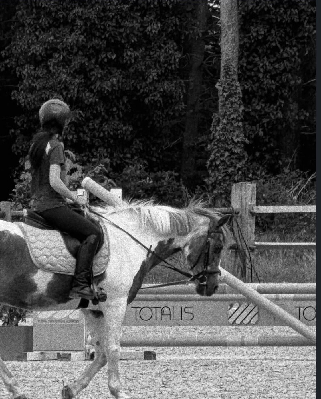 Lease/verzorg pony gezocht Limburg, Ophalen, Nieuw