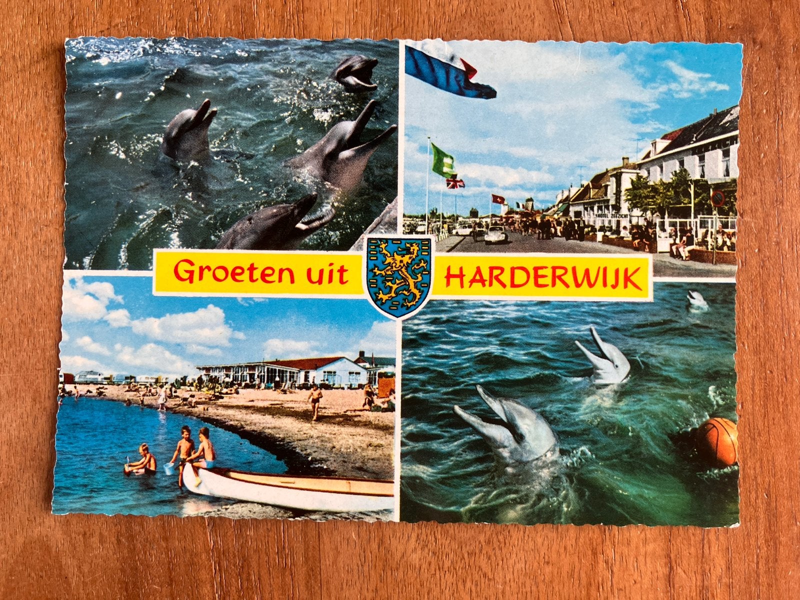 Groeten uit Harderwijk met Dolfijnen in het Dolfinarium 1971, Ophalen of Verzenden, 1960 tot 1980, Gelopen, Gelderland