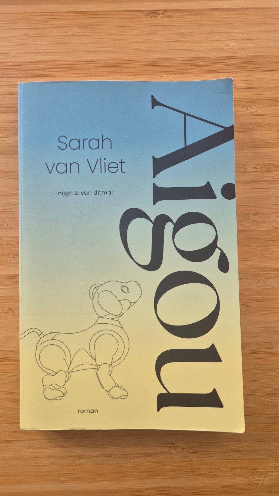 Aigou - Sarah van Vliet (Roman) - Nette staat, Sarah van Vliet, Ophalen of Verzenden, Zo goed als nieuw, Nederland