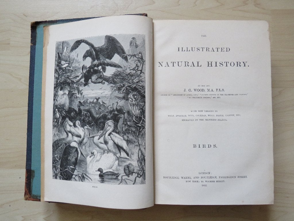 Vogelboek 1862, Ophalen of Verzenden