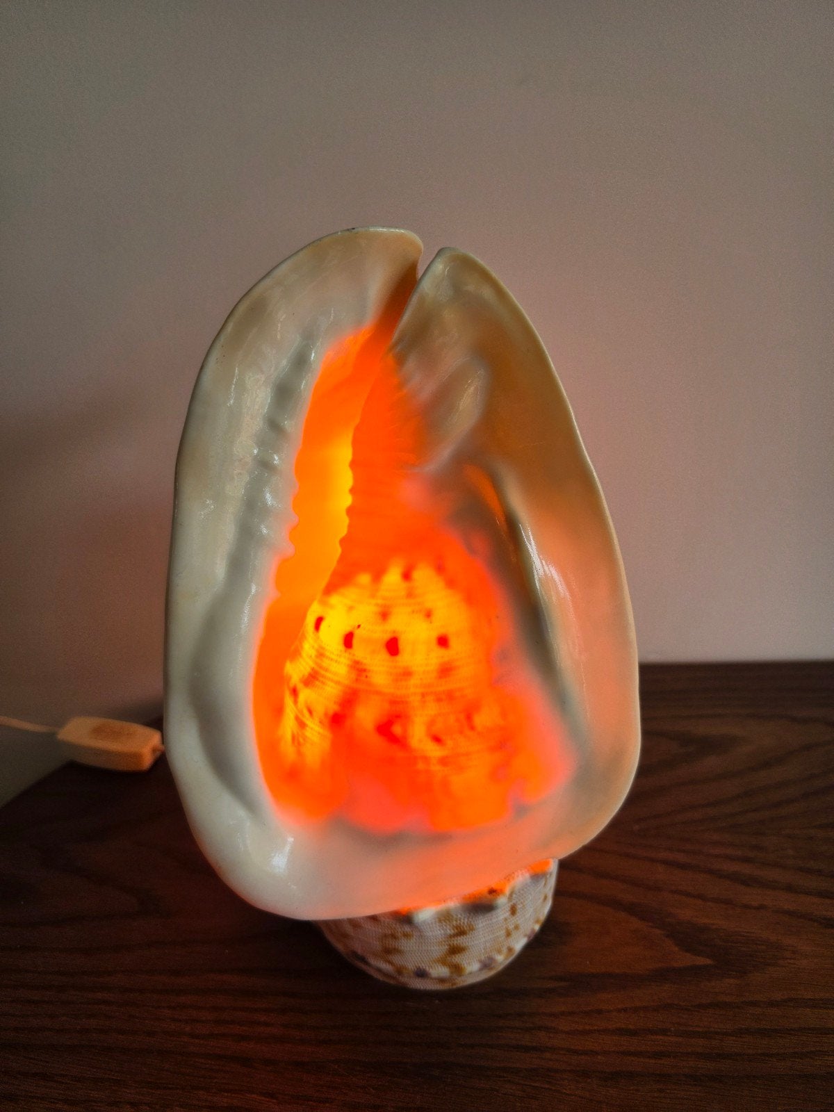 Vintage Schelpen Lamp - Unieke Sfeerverlichting, Antiek en Kunst, Ophalen of Verzenden