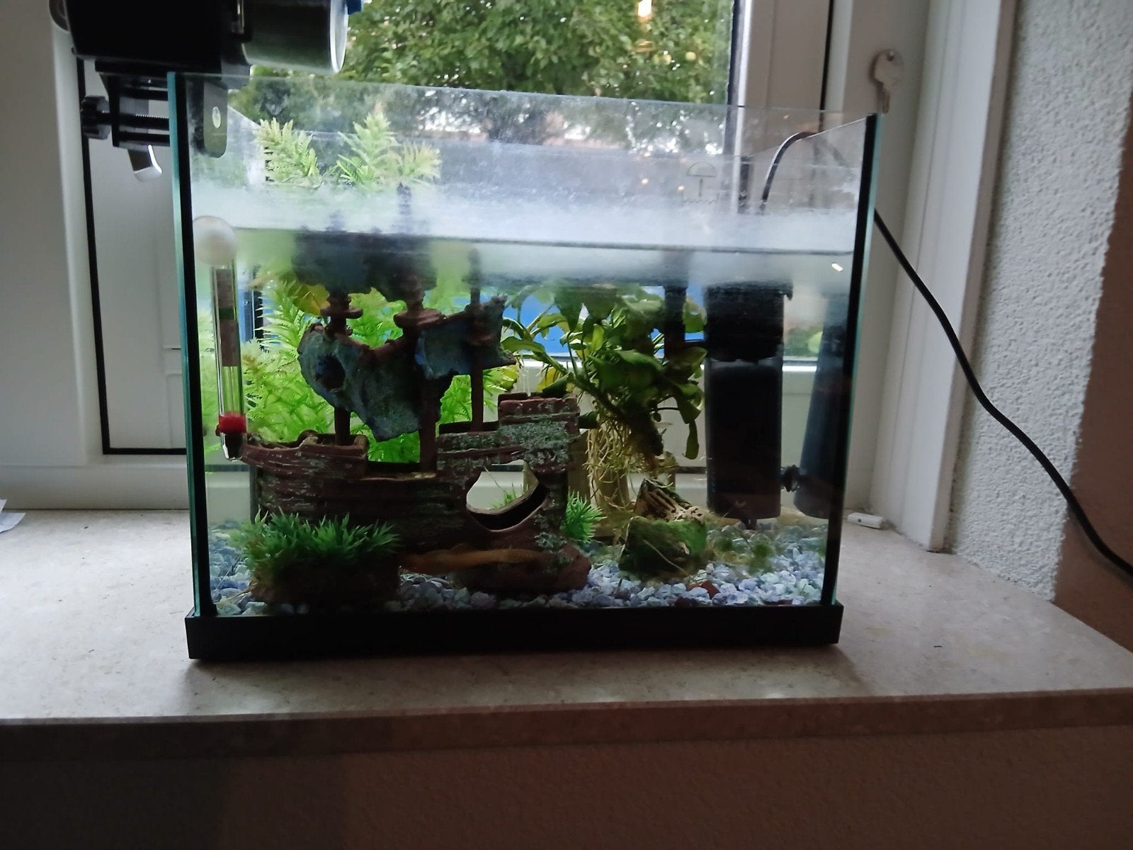 vissenaquarium met 1 vis en een algeneter, Ophalen, Gebruikt, Overige merken, Gevuld zoetwateraquarium
